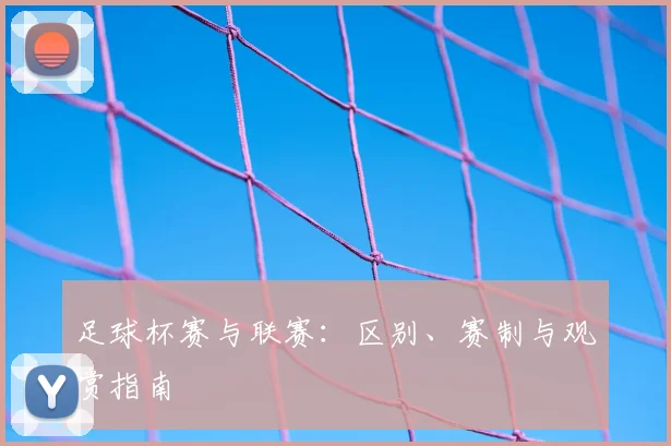 足球杯赛与联赛：区别、赛制与观赏指南